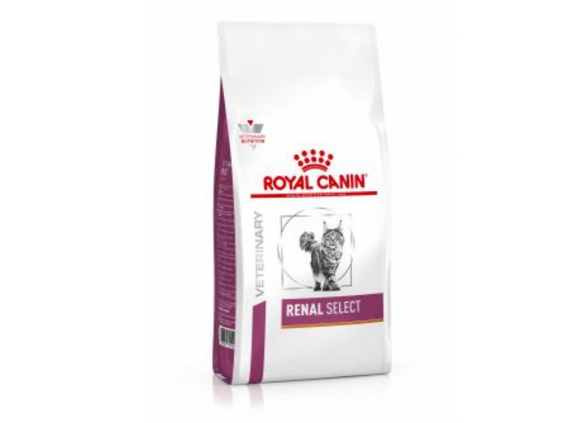 CAT RENAL SELECT                SAC 400G