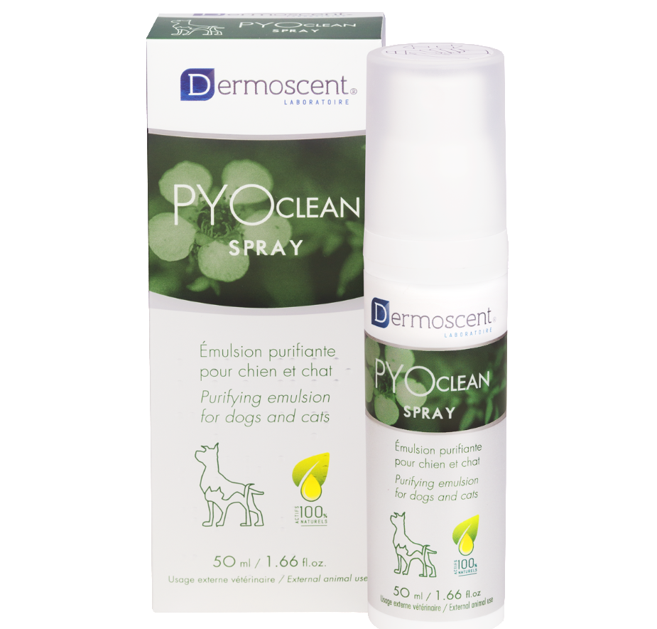 DERMOSCENT PYOCLEAN CN CT     SPRAY 50ML