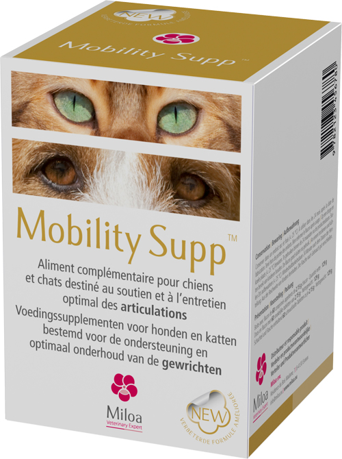 MOBILITY SUPP                  BT. 60 CP