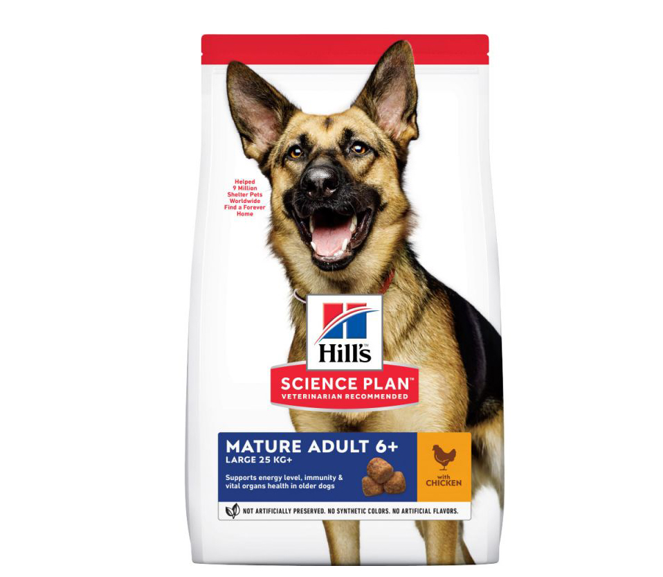 CANINE ADULT 6+ LARGE POULET   SAC 14 KG