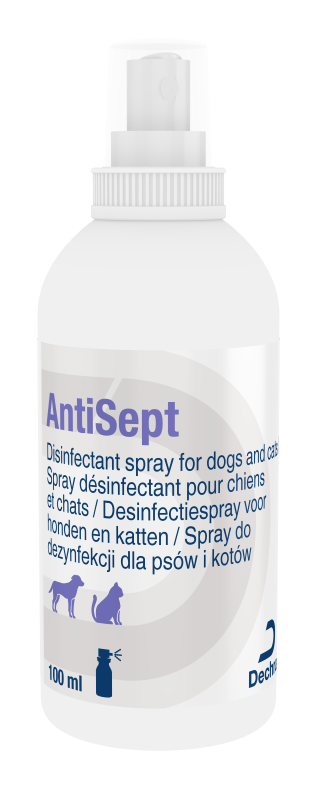 ANTISEPT                      FL. 250 ML