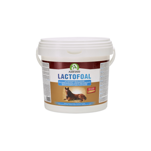 LACTOFOAL POULAIN            SEAU 2,2 KG