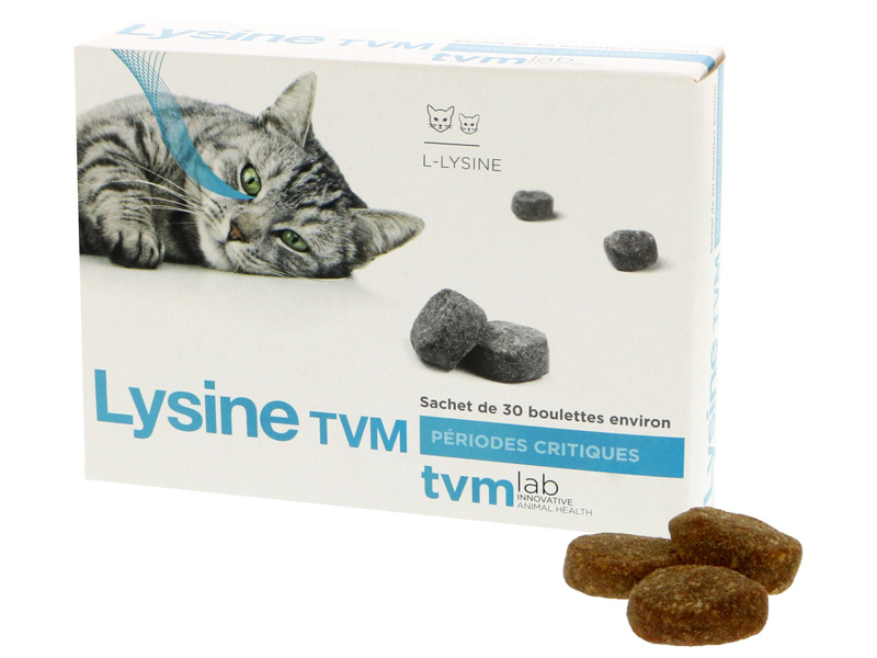 LYSINE TVM           BT 30 BOULETTES 2 G