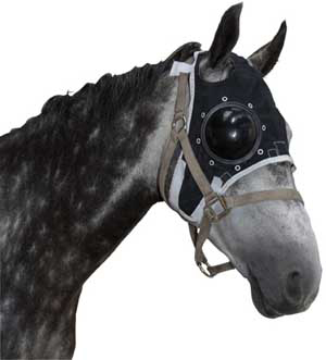 MASQUE EYE PROTECTOR GAUCHE MM