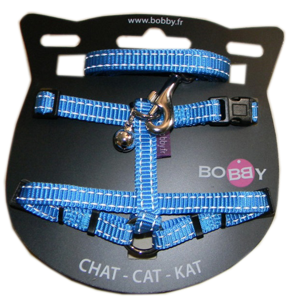 HARNAIS+LAISSE CT SAFE BLEU 10MMX25/38CM