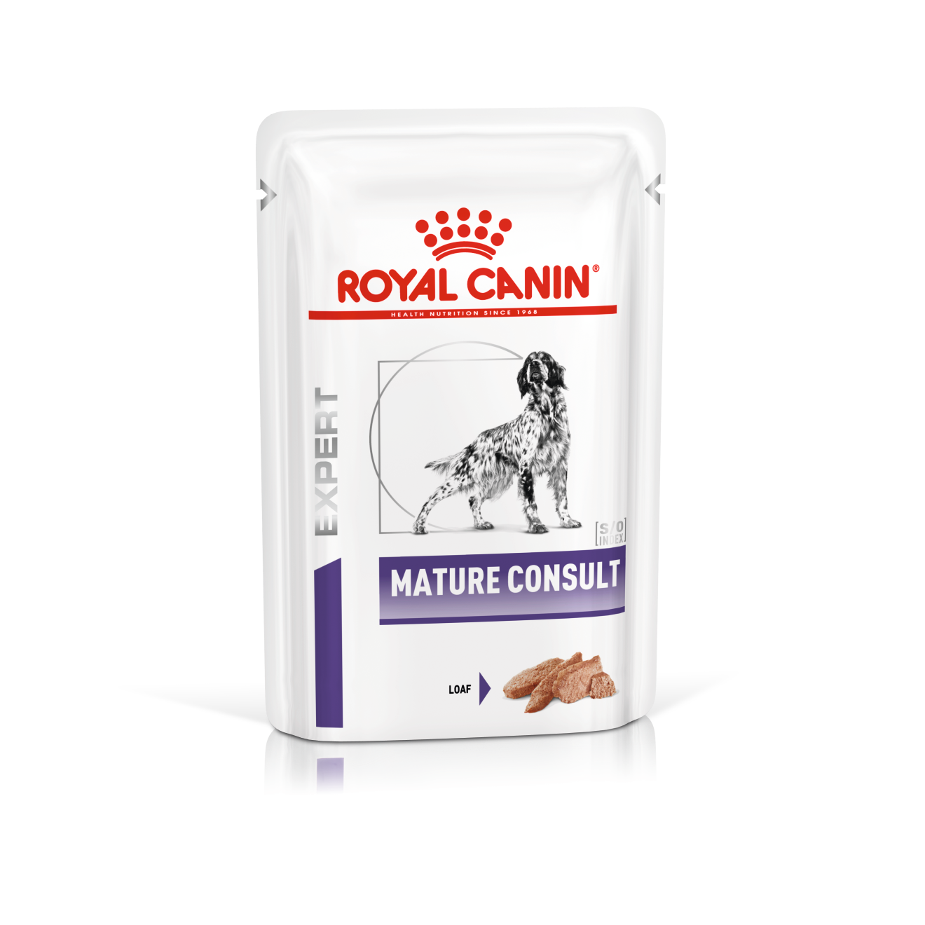 DOG MATURE CONSULT       12 SCHT 85G