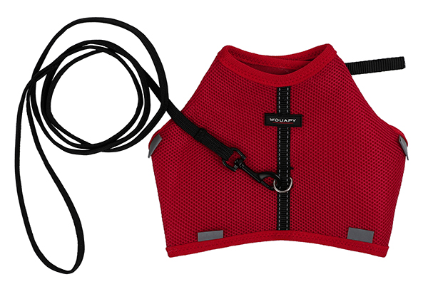 HARNAIS SOFT CHAT + LAISSE ROUGE