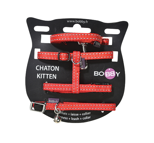 PACK CHATON COLLIER HARNAIS LAISSE ROUGE