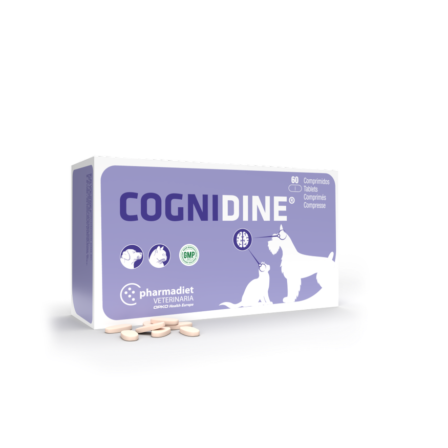 COGNIDINE            BT.60 CP.