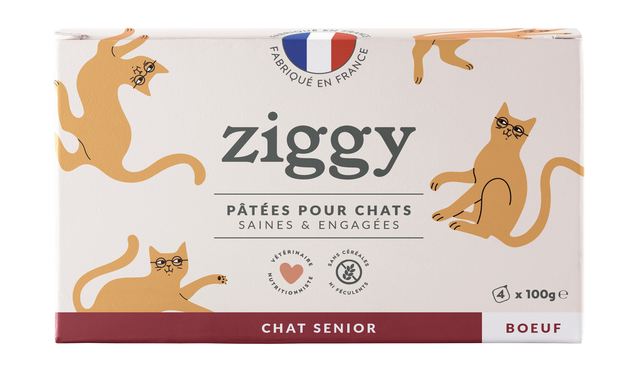 ZIGGY PATEE CT SENIOR BOEUF  4 X 100 G